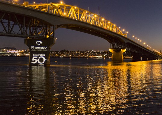 50 Years Bridge.jpg